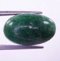 (bild för) Fin Grön Mönstrad Nephrit Jade 9,15 carat Oval Cabochon från Pakistan