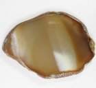 (bild för) Bra Pris Mycket Vacker Flerförgad Bandad Agat 76,4 gram Polerad Skiva Obehandlad Naturlig Kristall Väldigt Fin Färg & Kvalitet från Brasilien Köp Nu!