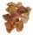 (image for) Good Price Parcel 10 pcs Very Exciting Rough Uncut Petrified Wood 74 grams Natural Fragments Pieces Very Good Color Pattern & Quality from Africa Buy Now!