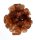 (image for) Good Price Very Beautiful Reddish Brown Aragonite 61,8 grams Natural Crystal Cluster in Wonderful Shape & Color Good Quality Interesting Collectible from Morocco Buy Now!