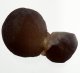 (image for) Good Price Very Exciting Chalcedony 57 grams Natural Interesting Formation Perfect Collectable Item from Morocco Buy Now!