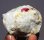 (image for) Good Price Rare Redpink Ruby Crystal in Matrix 212 gram from Jagdalak Afganistan Purchase Now!