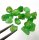 (image for) Good Price Parcel 16 pcs Very Rare Vivid Green Tsavorite Garnet 10,29 carat Natural Crystal Top Quality from Tanzania Purchase Now!