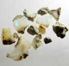(image for) Good Price Lot 17 pcs Raw Uncut Lustrous Somali Opal 11.50 carat Natural Crystal Very Fine Quality & Color Sparking Buy Now!