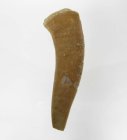 (bild för) Bra Pris Enchodus Fossil Fisktand 5,45 gram Uppskattat 100 milj år gammal från Sahara, Marocko Köp Nu!