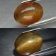 Good Price Very Nice African Opal Cat´s Eye 7,16 carat Oval Cabochon Sharp Eye Purchase Now! (image for) Good Price Very Nice African Opal Cat´s Eye 7,16 carat Oval Cabochon Sharp Eye Purchase Now!