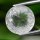 (image for) Good Price Beutiful Untreated Goshenite (White Beryl) 10,40 carat Round Cut fr Madagascar Purchase Now!