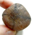 (image for) Good Price Tumbled Polished Genuine Chiastolite (Andalusite) 76,46 Gram Natural Clear Cross Pattern Interesting Collectors Stone from Brazil Purchase Now!