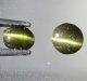 (image for) Good Price Parcel 2 pcs Very Rare Kornerupine Cats Eye 0,98 carat Oval/Semi-round Cabochon Very Sharp Eye Good Quality from Sri Lanka Purchase Now!