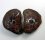 (image for) Good Price Very Beautiful Natural Artwork Fossil 2 pcs/1 pair Septarian Nodul 193 grams Sawn Polished Half´s Interesting Exciting Collectible Item from Morocco Buy Now!