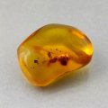 Good Price Rare Kind of True Amber 4,21 carat Polished Piece from Dominican Republic Purchase Now!