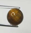 (image for) Good Price Very Nice Tiger´seye 3,41 carat Round Cabochon Good Quality & Colour´s Pattern from India Purchase Now!