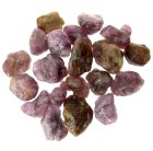 (image for) Good Price Parcel 20 pcs Purplish Red Ruby (Corundum) 67,72 carat Natural Crystal/Nuggets Good Quality Nice Colour from Kashmir Pakistan Purchase Now!