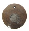 (image for) Good Price Unique Jewelry Fossile Ammonite in Matrix 8,90 gram Polished Pendant with Hole from Morocko Purchase Now!