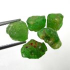 (image for) Good Price Parcel 5 pcs Very Rare Vivid Green Tsavorite Garnet 14,36 carat Natural Crystal Top Quality from Tanzania Purchase Now!