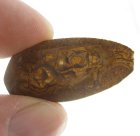 (bild för) Bra Pris Mycket Fin Rå Oslipad Koroit Boulder Opal 21,87 carat Naturlig Kristall/Bit Bra Färg Mönster & Kvalitet från Lightning Ridge Australien Köp Nu!