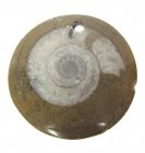 Bra Pris Unikt Smycke Fossil Ammonit i Matrix 10,60 gram Polerat Hänge med Hål från Marocko Köp Nu!