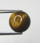 (image for) Good Price Very Nice Tiger´seye 3,05 carat Round Cabochon Good Quality & Colour´s Pattern from India Purchase Now!