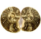 (bild för) Bra Pris Mycket vackert Naturligt Konstverk Fossil 2 st/1 par Ammonit 148 gram Sågad Polerade Halvor Intressant Spännande Samlar Objekt från Marocko Köp Nu!