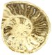 (image for) Good Price Bigger Very Beautiful Natural Artwork Fossil Ammonite 311 grams Sawn Polished Half Interesting Exciting Collectible Item from Morocco Buy Now!