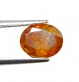 Bra Pris Mycket Sällsynt Gulaktigt Orange Sfalerit 1,56 carat Oval Slipning Mycket Bra Lyster & Kvalitet från Spanien Köp Nu!