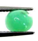 (bild för) Bra Pris Mycket Fin Grön Krysopras 1,15 carat Oval Cabochon Slipning Bra Kvalite & Jämn Färg från Afrika Köp Nu!
