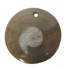 (bild för) Bra Pris Unikt Smycke Fossil Ammonit i Matrix 13,25 gram Polerat Hänge med Hål från Marocko Köp Nu!