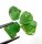 (image for) Good Price Parcel 4 pcs Very Rare Vivid Green Tsavorite Garnet 4,53 carat Natural Crystal Top Quality from Tanzania Purchase Now!