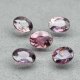 (image for) Good Price Certified 1 pcs Parcel 5 pcs Untreated Purplish Pink Sapphire 1,55 carat Oval Cut Very Nice Madagascar Purchase Now!