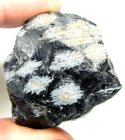 (image for) Good Price Natural Snowflake Obsidian 54,50 gram Natural Piece Highly Interesting Collectors Stone Good Quality from Africa Purchase Now!