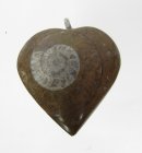 (image for) Good Price Unique Jewelry Fossile Ammonite in Matrix 12,20 gram Polished Pendant with Loop from Morocko Purchase Now!
