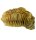 (image for) Good Price High Interesting Well Shaped Fossil Trilobite 141 grams Natural Released Specimen Untreated Nice Collectible Item from Morocco Buy Now!