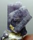 (image for) Good Price Specimen Very Beautiful Violet Scapolite 116 carat Natural Terminated Crystal Cluster Perfect Collectible Item from Afghanistan Buy Now!
