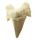 (image for) Good Price Nice Collection Fossile Shark Tooth 5,85 gram Nice Shape from Morocko Purchase Now!