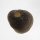 (image for) Good Price Exciting Finely Shaped Tooth from Mosasaur 10,35 grams High Interesting Collectible Item from Morocco Buy Now!