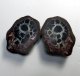 (image for) Good Price Very Beautiful Natural Artwork Fossil 2 pcs/1 pair Septarian Nodul 207 grams Sawn Polished Half´s Interesting Exciting Collectible Item from Morocco Buy Now!