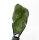(image for) Good Price Rough Uncut Green Apatite 6,40 carat Natural Crystal from Madagascar Purchase Now!