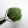 (image for) Good Price Pakistan Demantoid Garneth 12,84 carat Natural Crystal Nice Quality Purchase Now!