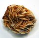 (image for) Good Price Very Nice Interesting Baryte with Small Vanadinite Crystals 52,8 gram Collectors Mineral from Morocko Purchase Now!