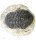 (image for) Good Price High Interesting Extremely Well Shaped Very Beautiful Fossil Trilobite 309 grams Natural Whole Specimen with Matrix Perfect Exclusive Collector's Item from Morocco Buy Now!