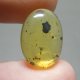 (image for) Good Price Very Rare Burmite with Insect 2,05 carat Oval Cabochon True Amber Oldest in the World fr Burma Purchase Now!