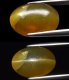 (image for) Good Price Very Nice Interesting Yellow Green Apatite Cat Eye 8,55 carat Oval Cabochon Cut from Africa Purchase Now!