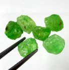 (image for) Good Price Parcel 6 pcs Very Rare Vivid Green Tsavorite Garnet 12,18 carat Natural Crystal Top Quality from Tanzania Purchase Now!