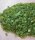 (image for) Good Price Very Big Parcel Pakistan Uncut Peridot 500 carat Natural Crystal Nice Olive Green Colour & Fine Quality Purchase Now!