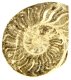 (image for) Good Price Bigger Very Beautiful Natural Artwork Fossil Ammonite 339 grams Sawn Polished Half Interesting Exciting Collectible Item from Morocco Buy Now!