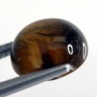 (image for) Good Price Very Nice Tiger´seye 3,73 carat Round Cabochon Good Quality & Colour´s Pattern from India Purchase Now!