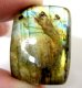 (image for) Good Price Very Good Quality Rainbow Lusterous Labradorite 32,72 carat Cushion Cabochon Cut Outstanding Luster & Colur play from Madagascar Purchase Now!