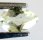 (image for) Good Price Very Beutiful Yellowish Green Heliodore (Beryl) 0,36 carat Pear Nice Quality & Luster from Madagascar Purchase Now!