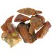 (image for) Good Price Parcel 9 pcs Very Exciting Rough Uncut Petrified Wood 63 grams Natural Fragments Pieces Very Good Color Pattern & Quality from Africa Buy Now!