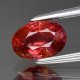 (image for) Good Price Very Rare Padparadscha Sapphire 1,13 carat Oval Cut Top Luster Nice Quality from Sri Lanka Purchase Now!